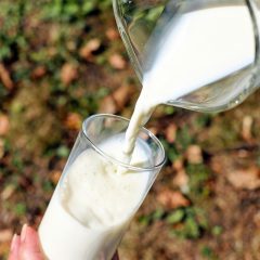 Latte lombardo, enorme ricchezza per tutta l’Italia